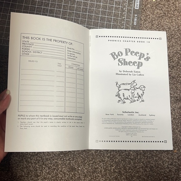 Phonics Bo Peep’s Sheep chapter 10 book - Picture 3 of 8